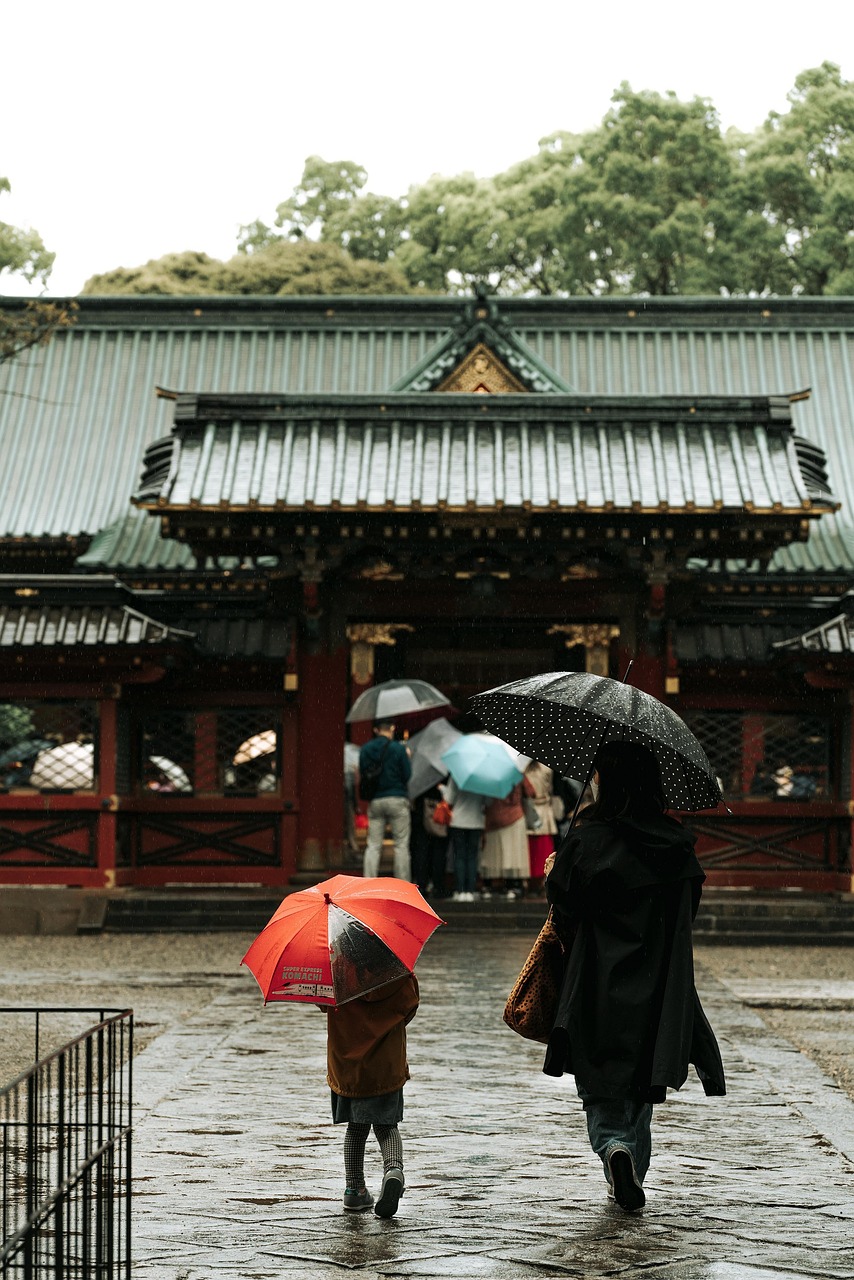rain, tree, temple, nature, people